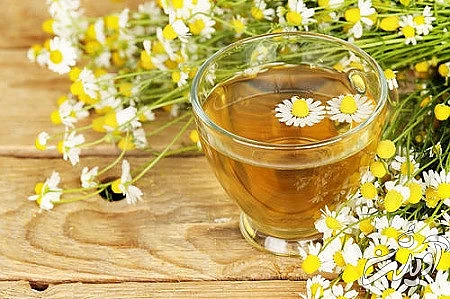 گل ساعتی از دیازپام های طبیعی  اثرات دیازپام, حس خواب آلودگی با دیازپام, تاثیر مصرف دیازپام